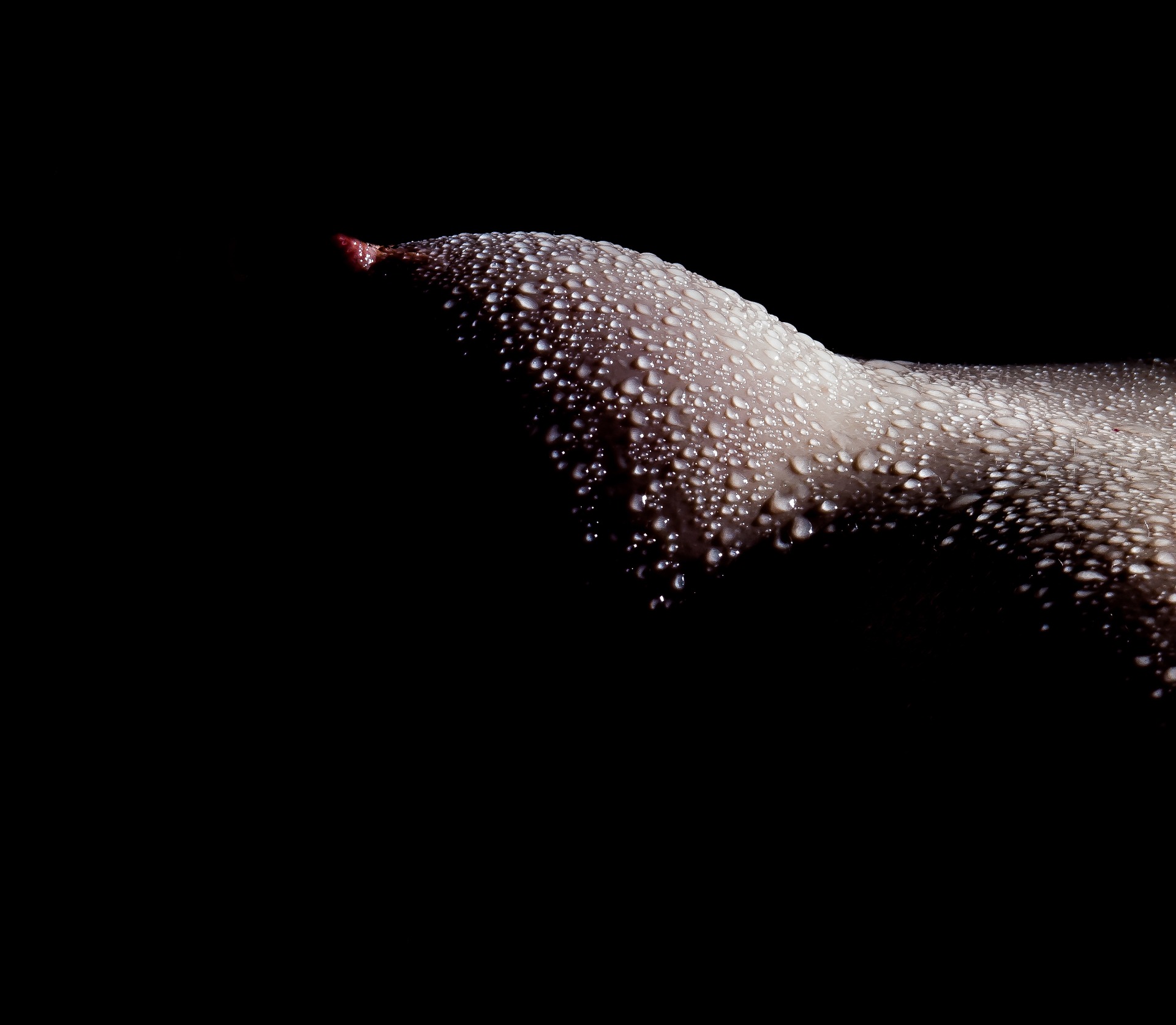 Tittenfick - lass Dich inspirieren